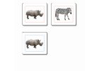Přikládací karty pro nejmenší: Zvířata Afriky