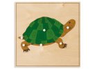 Puzzle – želva