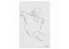 Mapa Severní Ameriky – politická, slepá, 50 listů
