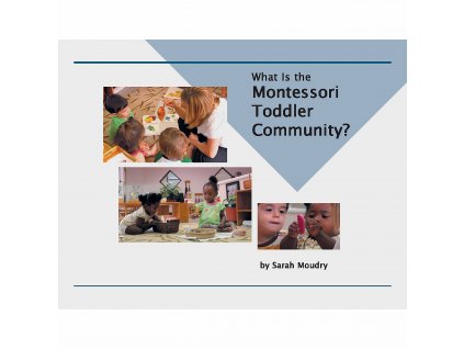 What Is The Montessori Toddler Community?