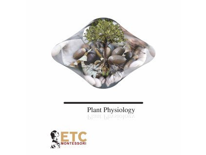 Plant Physiology