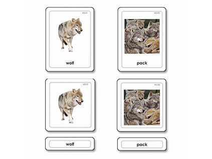 Třísložkové karty - skupiny zvířat