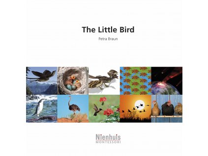 The Little Bird