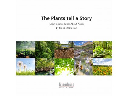 The Plants Tell A Story