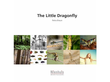 The Little Dragonfly