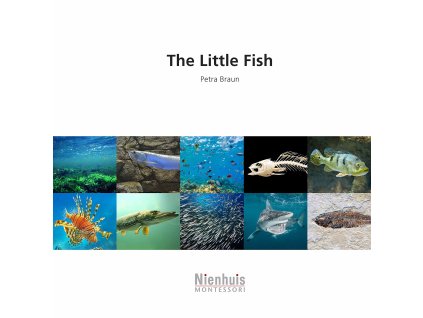 The Little Fish