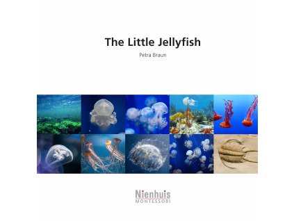 The Little Jellyfish
