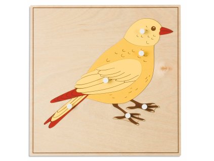 Puzzle – pták