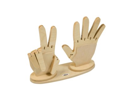 Counting hands