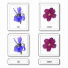 Třísložkové karty - květy
