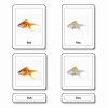 Třísložkové karty - části ryby (kostnaté ryby)