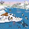 Vocabulary puzzle polar regions l Wooden puzzles l 49 puzzle pieces l Educo
