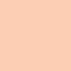 Interpaint bottle 1 l flesh tint