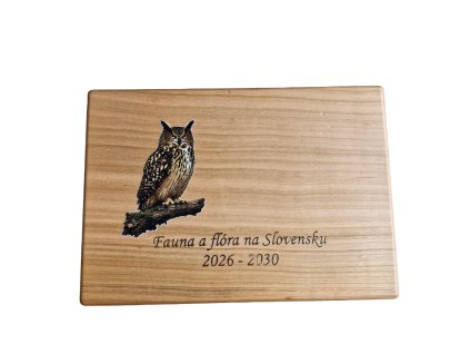 Kazeta na 5e 2026-2030 Modrá