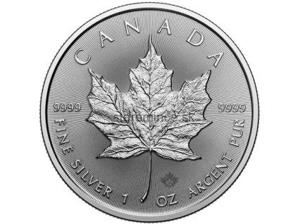 Maple Leaf 1oz  2026 Silver