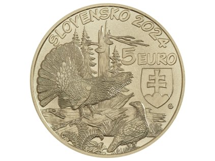 5 EURO 2024  Hlucháň