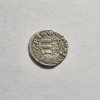 Denár  H495 3xžezlo  Karol I. Róbert
