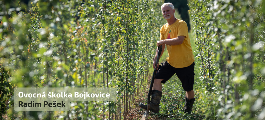 Ovocná školka Bojkovice - Radim Pešek