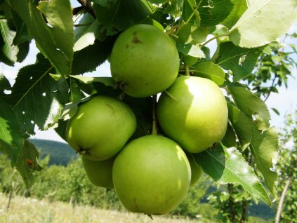 Za o su li 2014 5