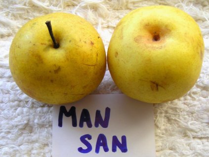 Man san gill 1 upr web