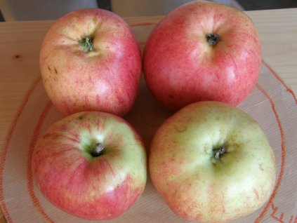 Grávštýnské jabloň