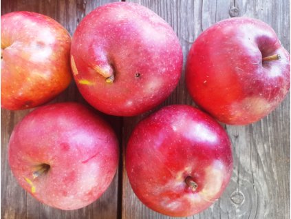 malinove holovouske jablko