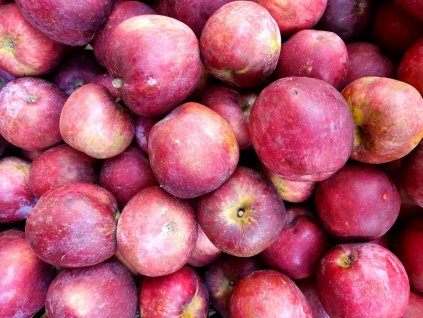 malinove hornokrajske jablon