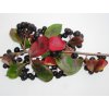 Aronia Nero 1