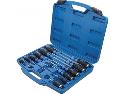 Bgs 7896 sada skrutkovacov 6 3 mm 1 4 12 kusov