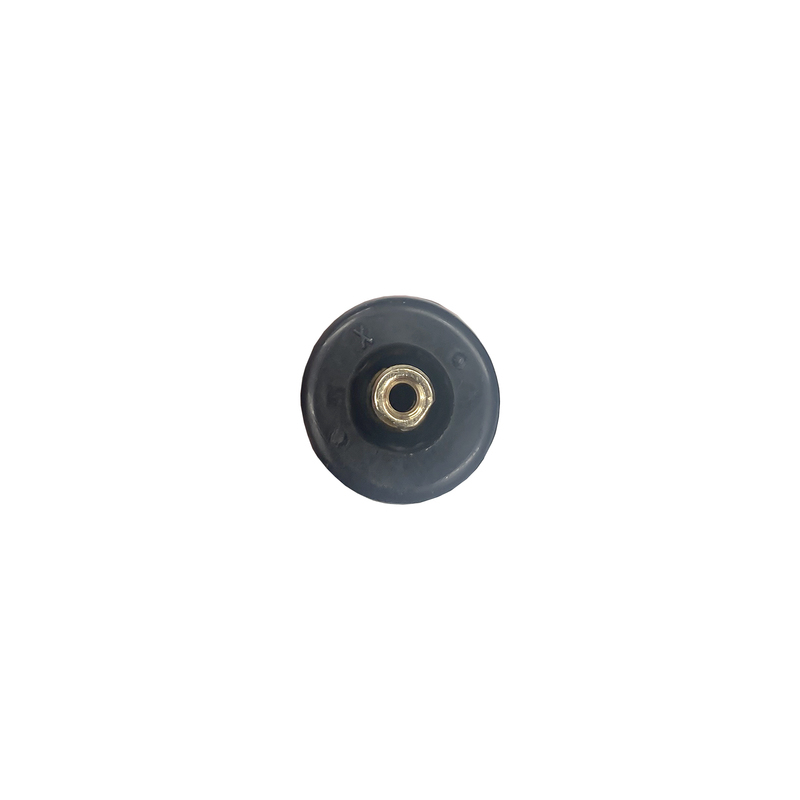 Ferdus Gumový TPMS ventil 2 pre Schrader EZ-sensor