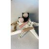 vyrp14 11022gel lak 306 309 100kb