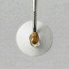 vyrp11 3635Acrylic Powder 15g BE CLEAR brush