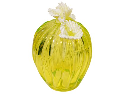 65123 jiri pacinek kaktus 1