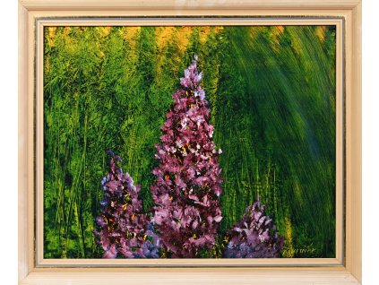 66727 petr pavlinak kvety mokradu 1