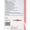 61581 zlata broz s diamanty 9 kopie