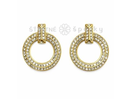 Ocelové pozlacené náušnice Aurora Gate