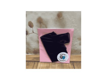 Darky do skolky bez slaskosti darek pro ucitelku stastnybalonek.cz boruvka1