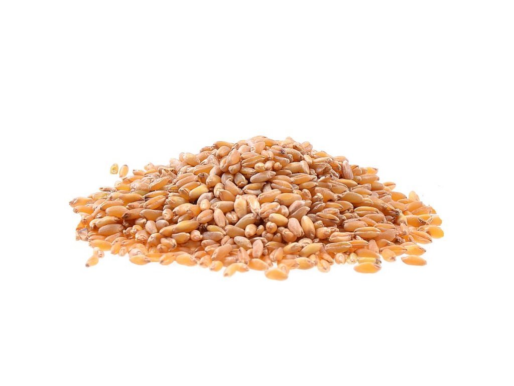 Pšenice - pytel 25 kg - Šťastný Farmář