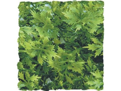 109672 10252b01 a9fe 4520 947a 59143d50feba 323661