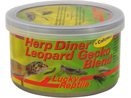 98890 2 lucky reptile herp diner leopard gecko