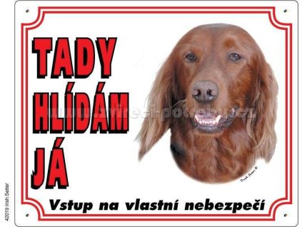 5334 1 vystrazna plastova tabulka na plot irsky setr z kategorie chovatelske potreby a krmiva pro psy tabulky samolepky psi tabulky na plot