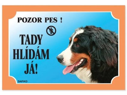 42999 bernsky salasnicky