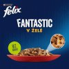 82614 6 82614 2 felix fantastic multipack masovy vyber v zele 80x85g