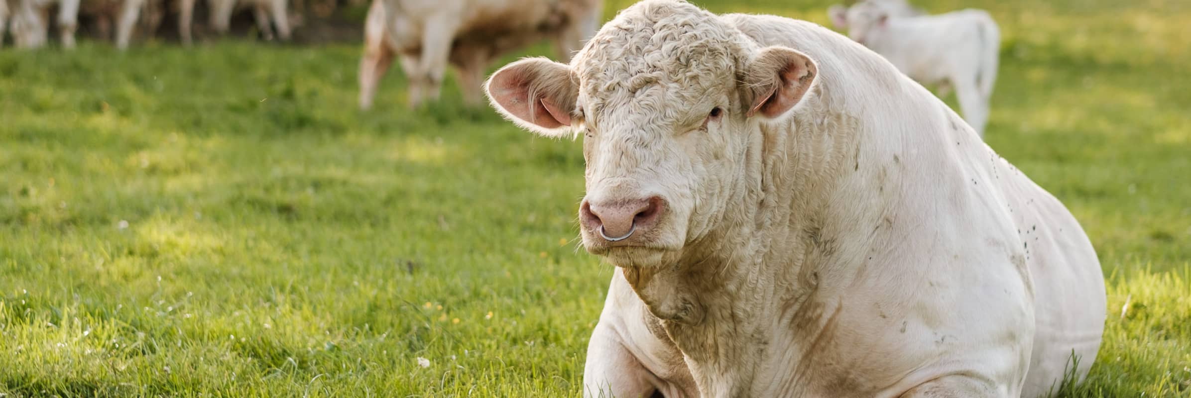 Nezmeškejte příjem objednávek