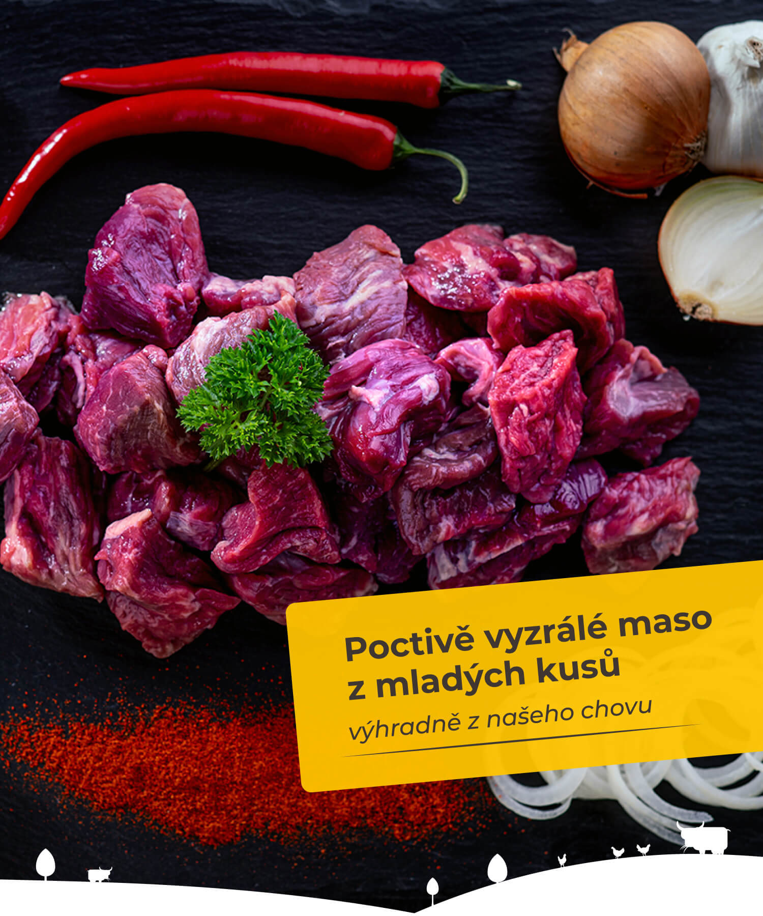 Poctivě vyzrálé maso z mladých kusů