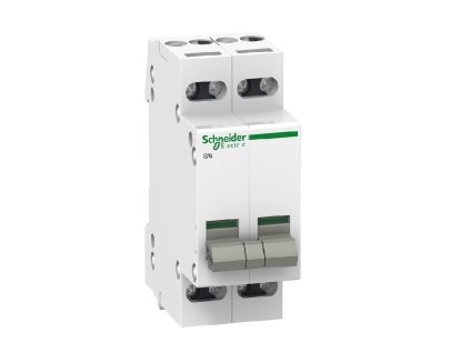 Vypínač Schneider A9S60420