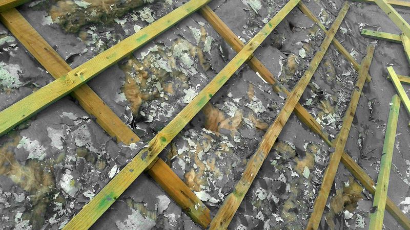 Proč se vyplatí zvolit pojistnou hydroizolaci s vyšší teplotní stabilitou