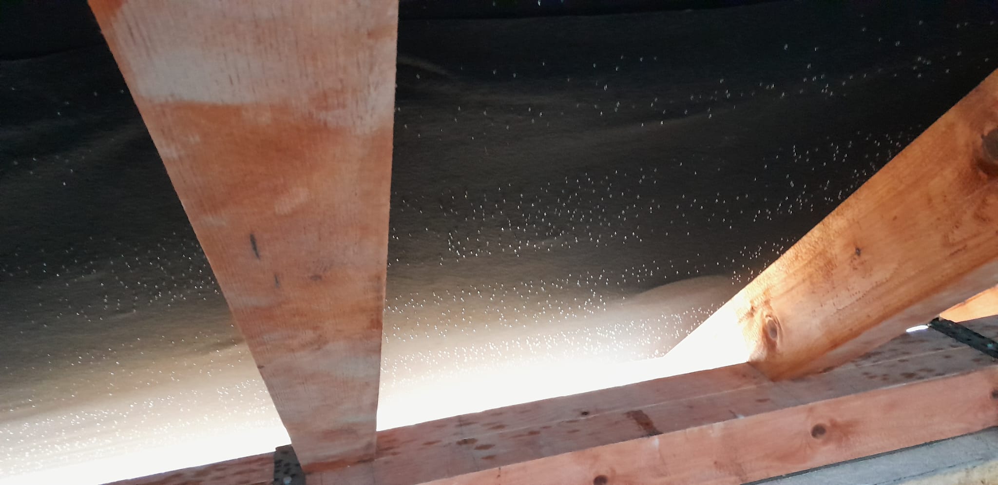 Kondenzace na spodní straně podstřešní membrány
