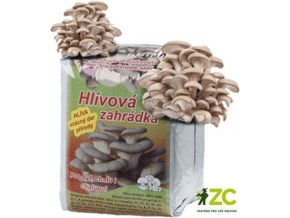 Hlíva sadba 15l