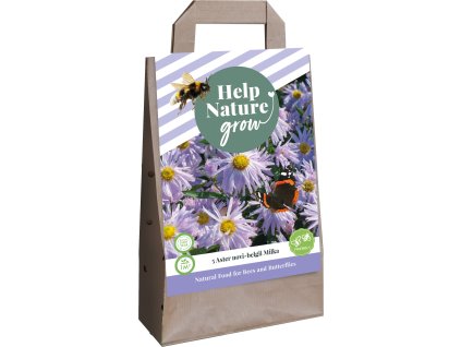 Taška - JARNÍ ASTRA NOVI BELGII MILKA (5 hlíz)